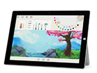 石屏Surface 无法开启、Windows 无法启动或电池无法充电