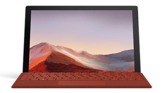 石屏清洁和维护 Surface